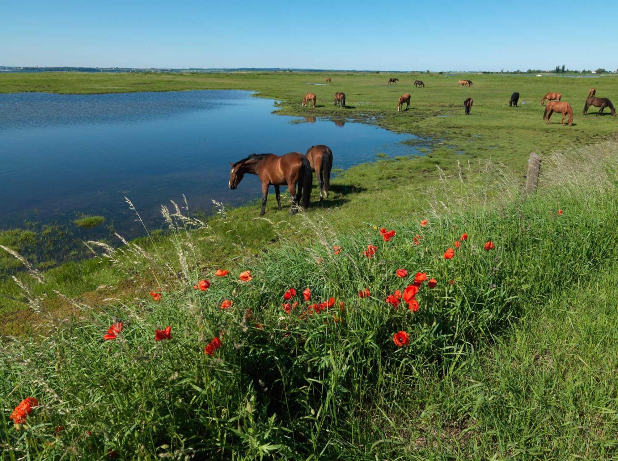 Inselhaeuser Kaltenhof Inselhaus Poel 1 Екстериор снимка
